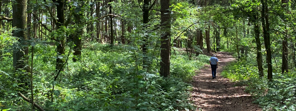 Waldbaden Deutschlands Stresskiller