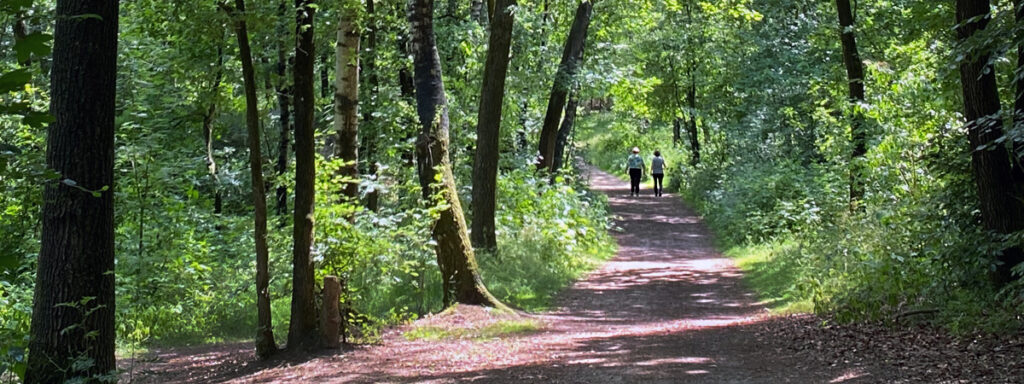 Waldbaden Deutschlands Stresskiller